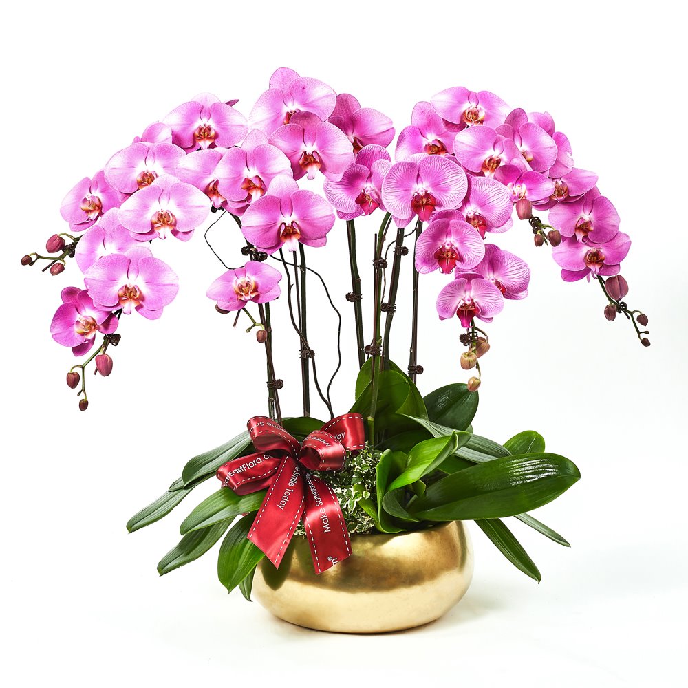 20 Best Flower Delivery Services in Singapore with Beautiful and ...